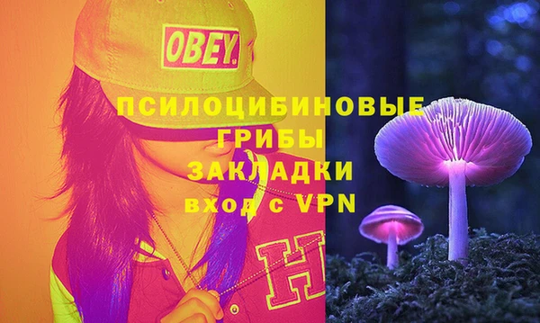 ешки Вязьма