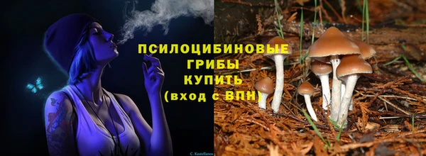 соль ск Алзамай
