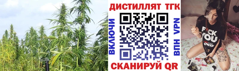 Дистиллят ТГК вейп  как найти наркотики  ссылка на мегу ТОР  Порхов 