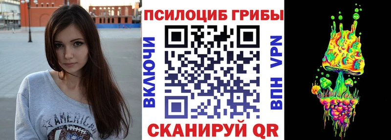 даркнет Telegram  Порхов  Галлюциногенные грибы Psilocybine cubensis  где можно купить  