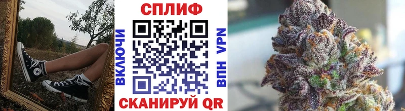 Канабис сатива  Порхов 